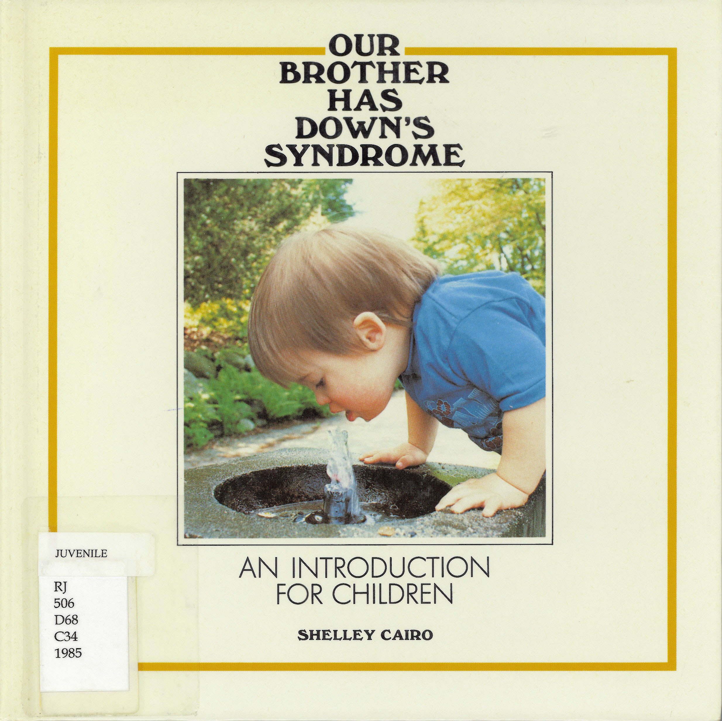Our brother has Down's syndrome: introduction for children