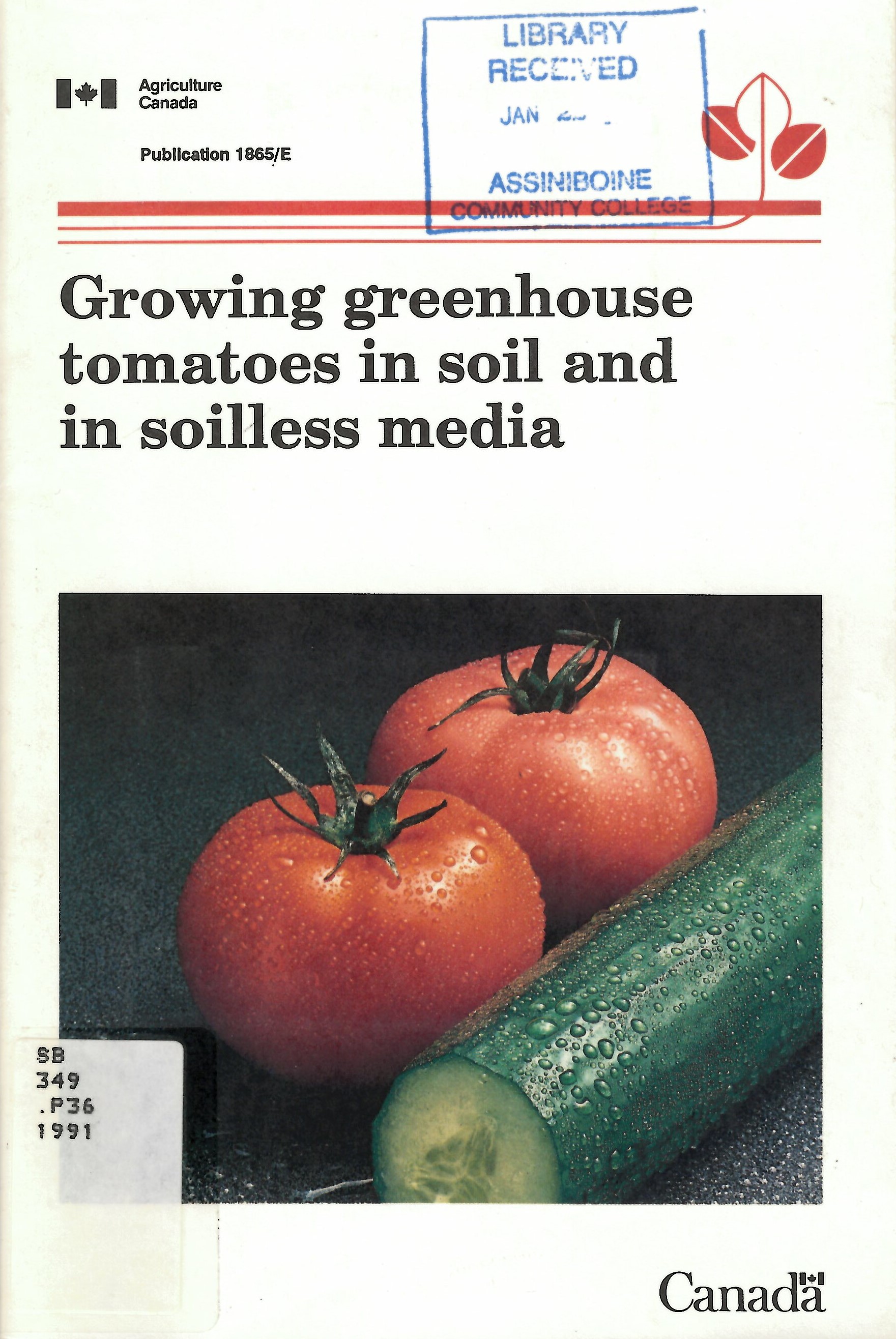 Growing greenhouse tomatoes in soil and in soilless media