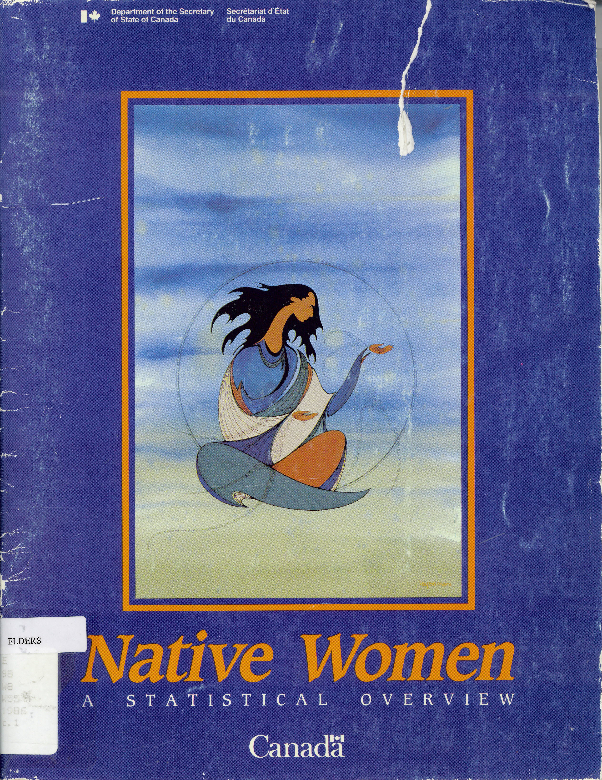 Native women: : a statistical overview = Femmes autochtones  : un apercu statistique /