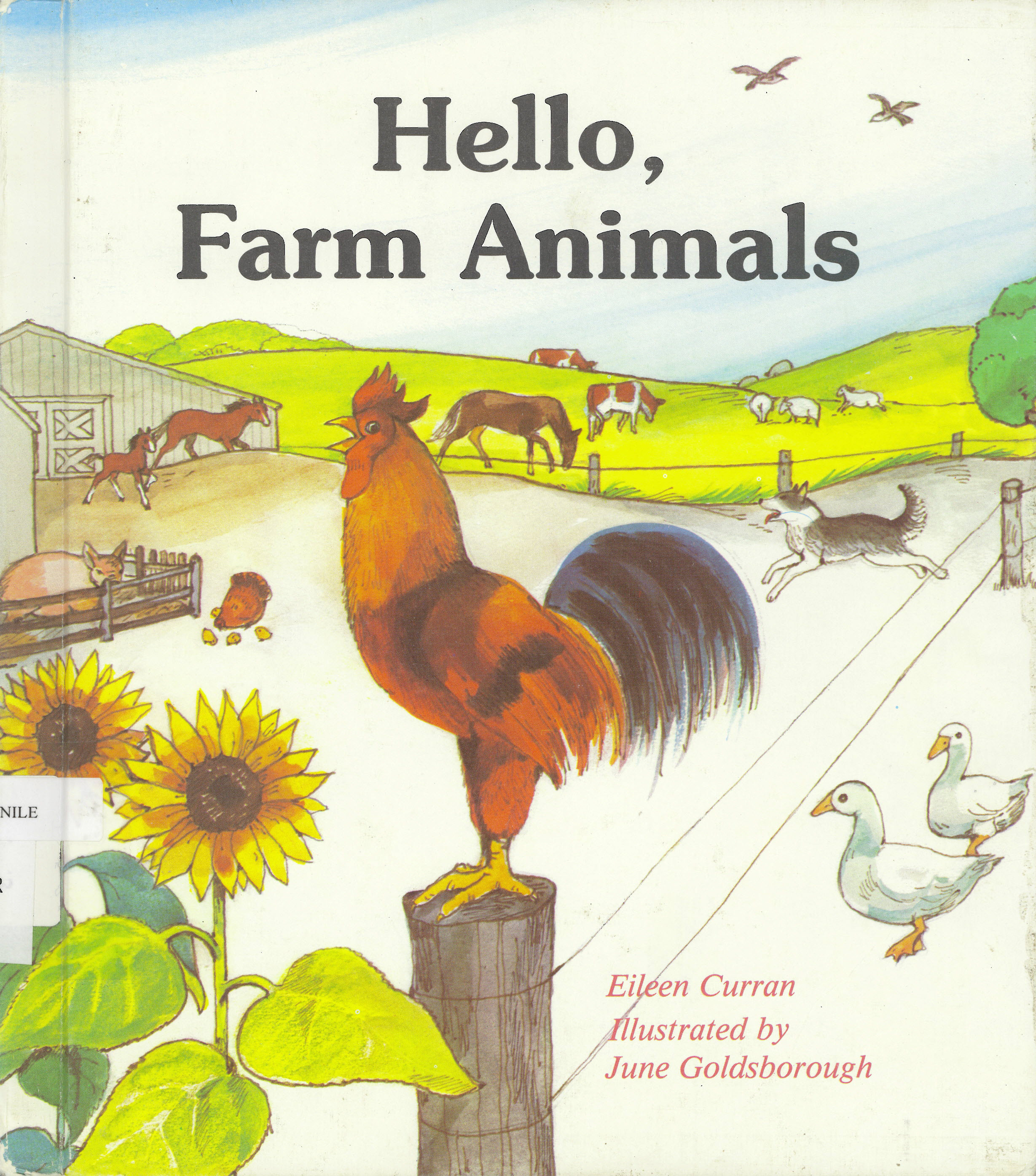 Hello, farm animals