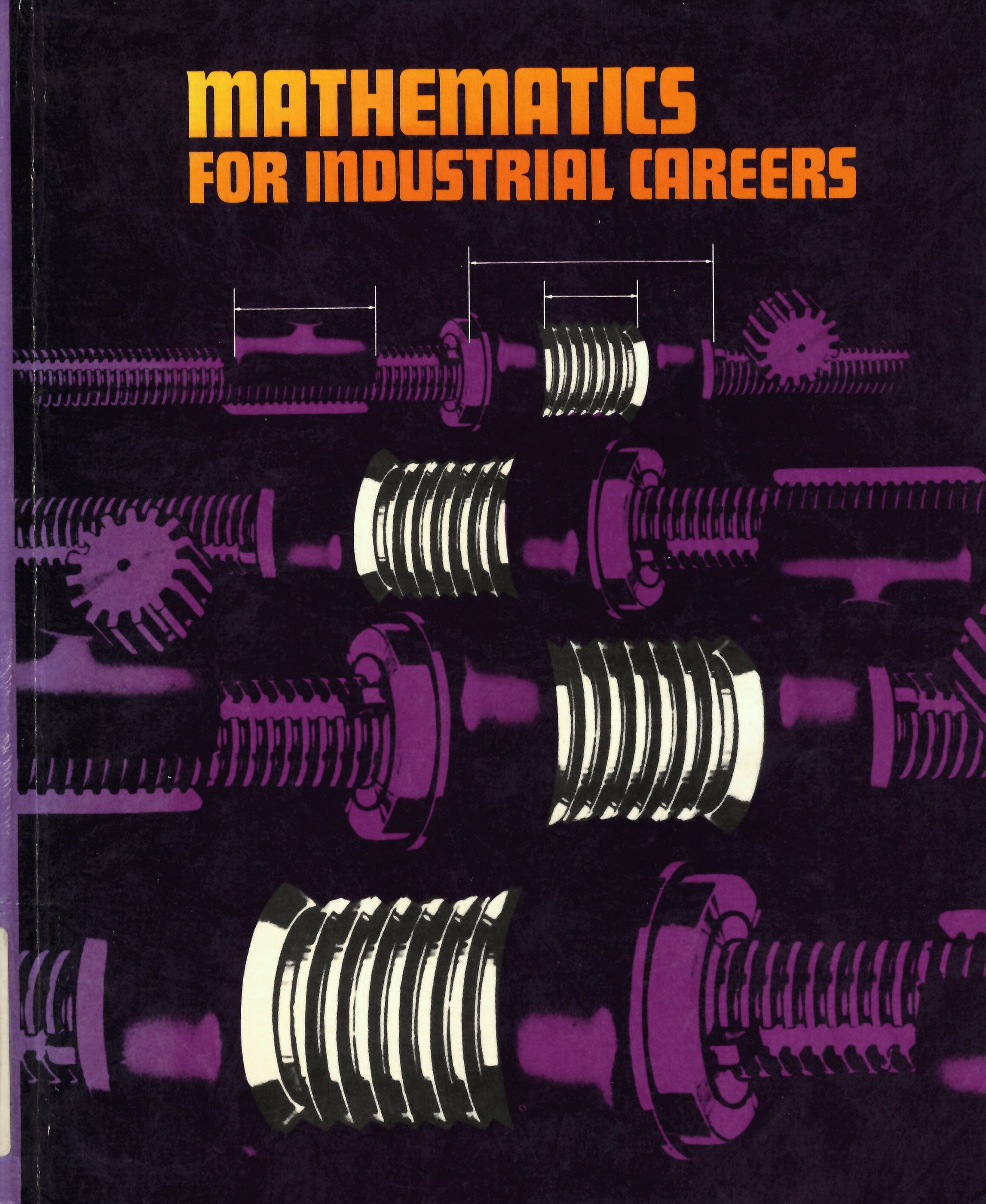 Mathematics for industrial careers