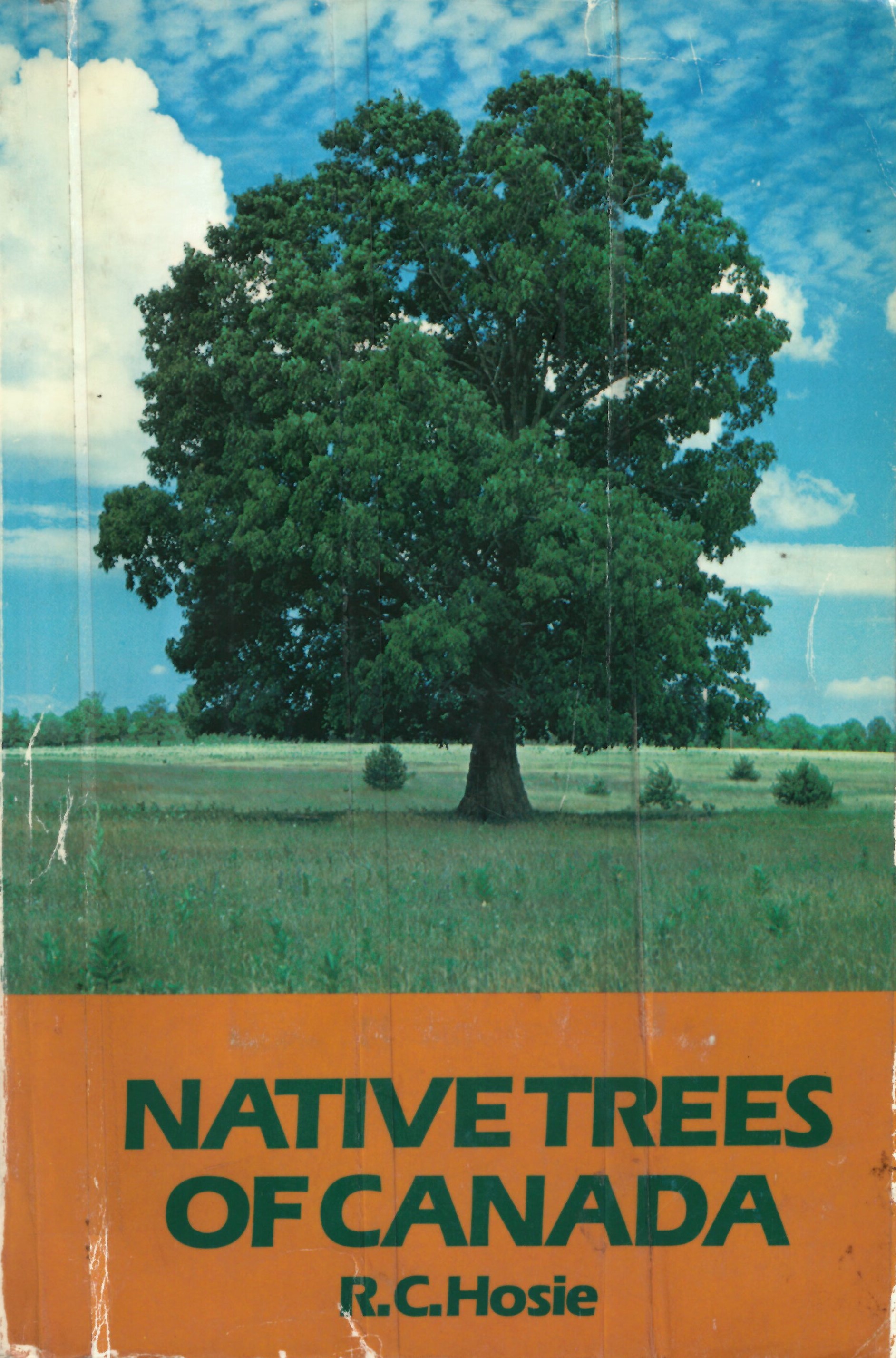 Native trees of Canada