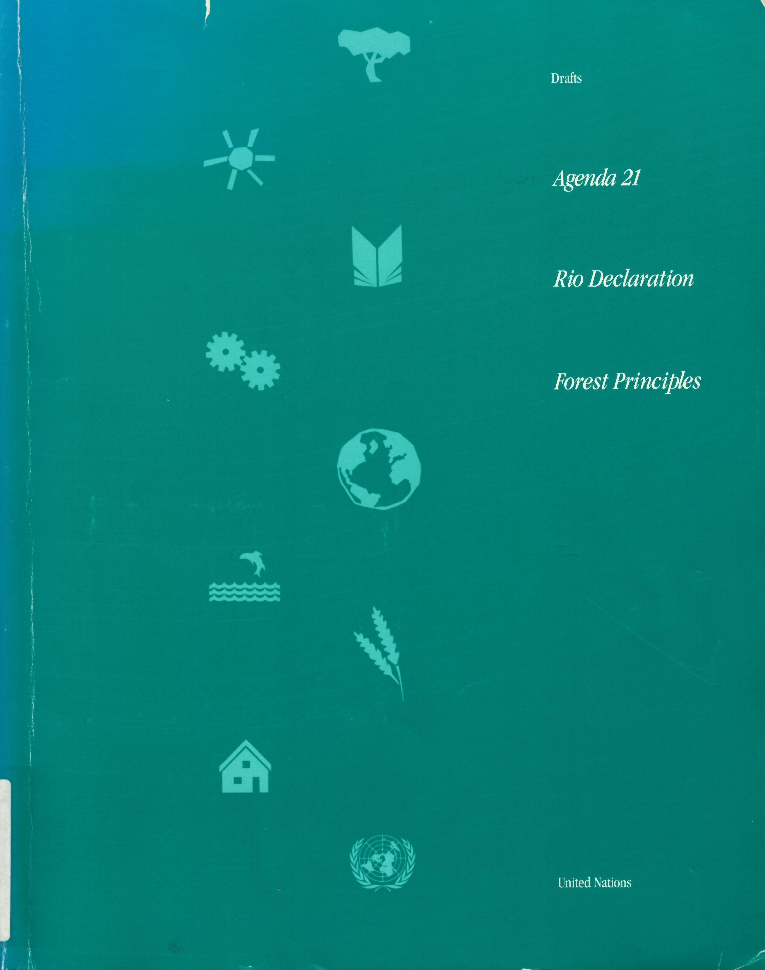 Agenda 21 Rio declaration forest principles : drafts
