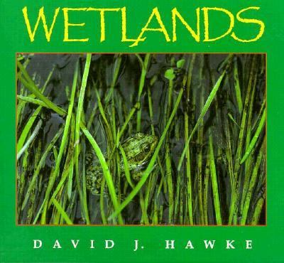 Wetlands