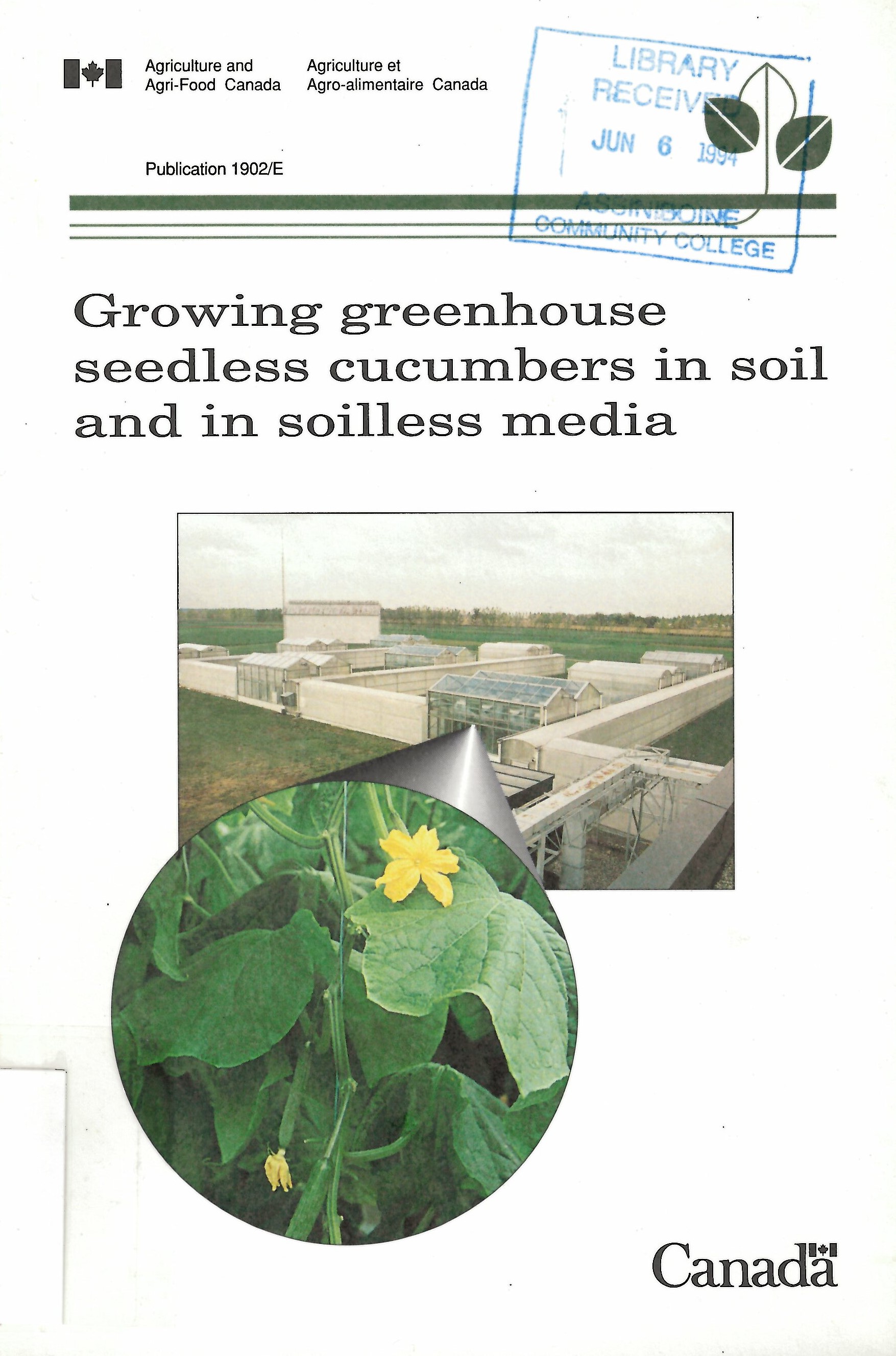 Growing greenhouse seedless cucumbers in soil and in soilless media