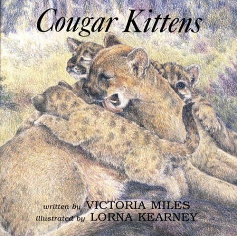 Cougar kittens