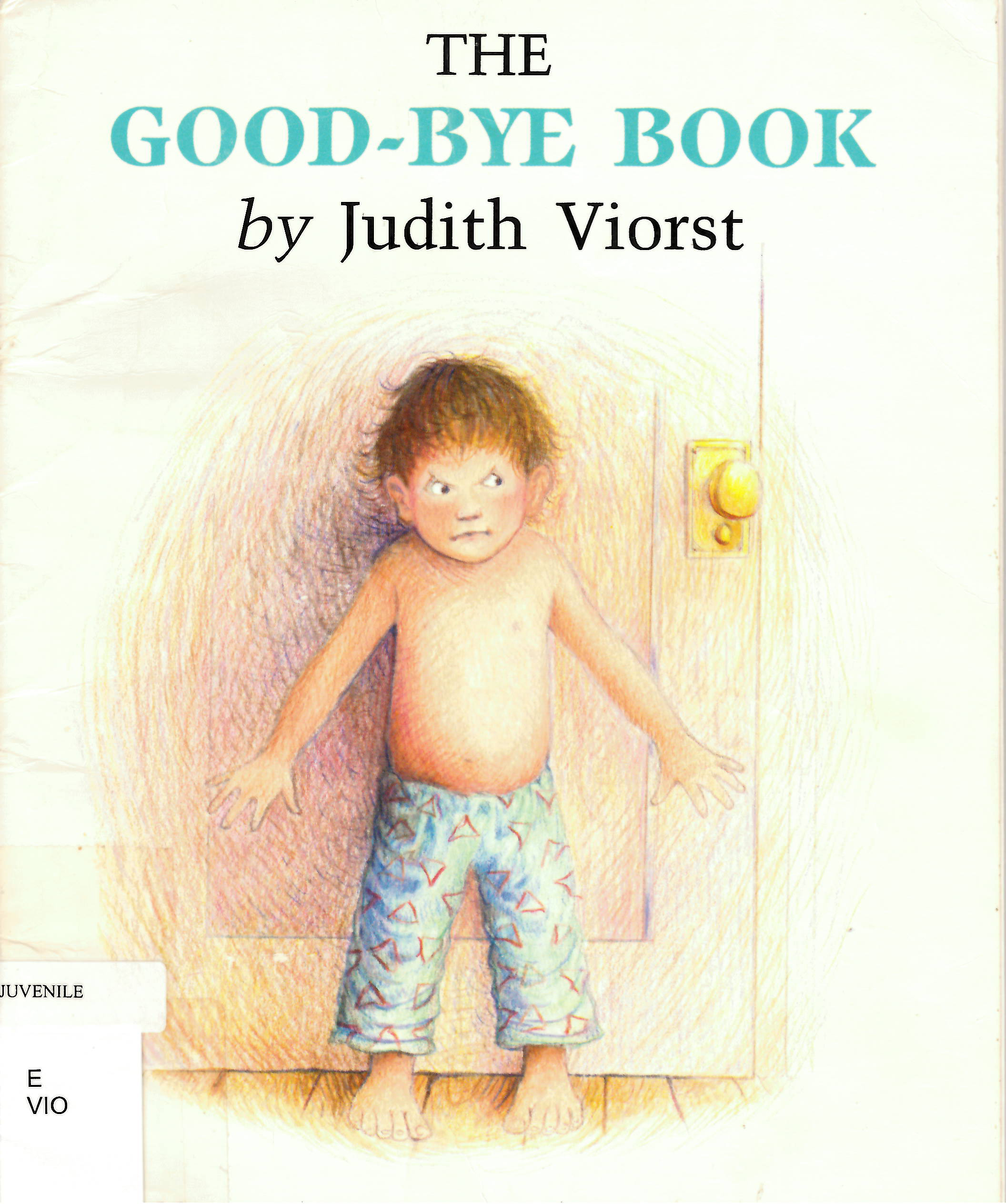 The good-bye book