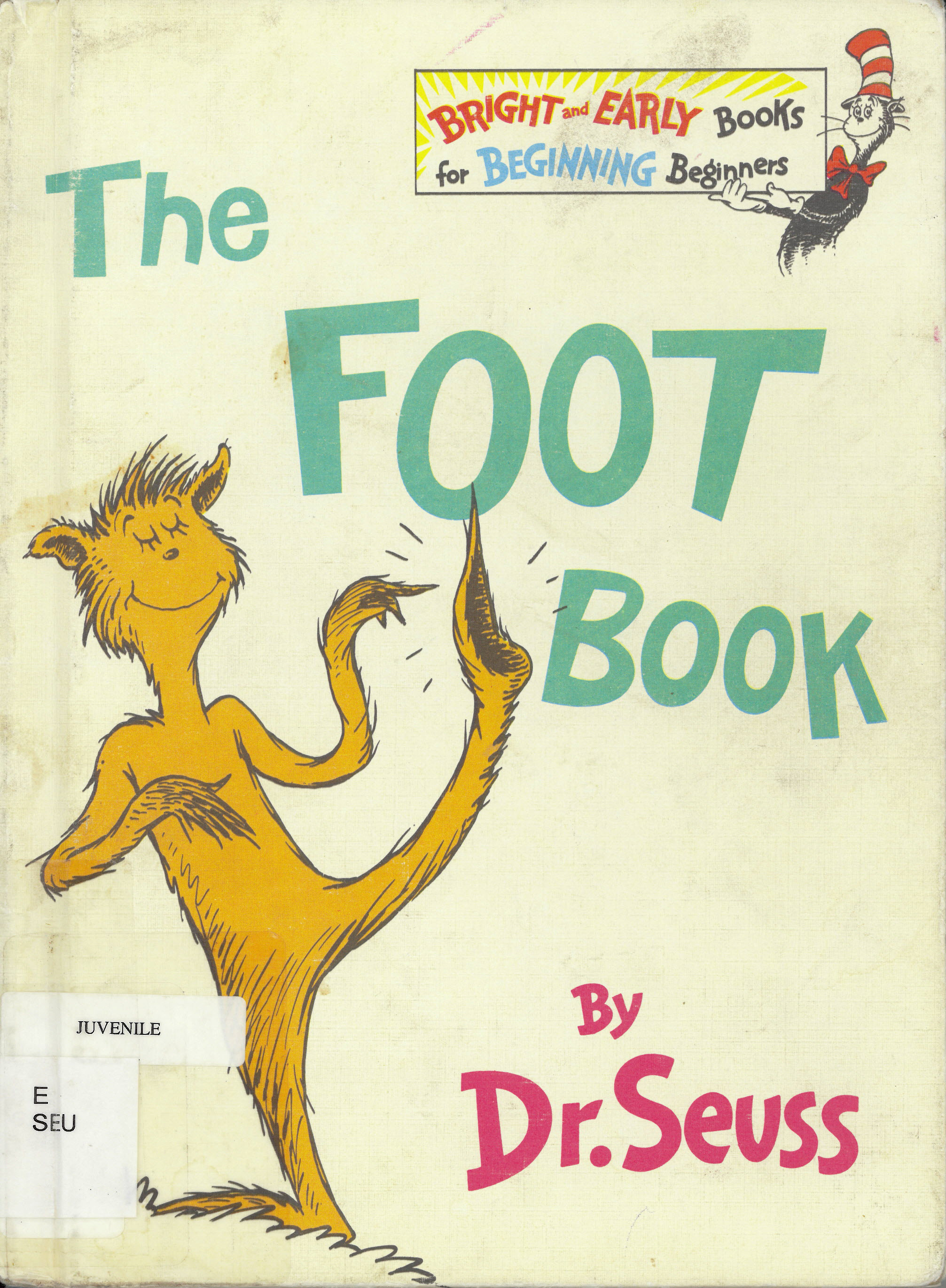 The foot book