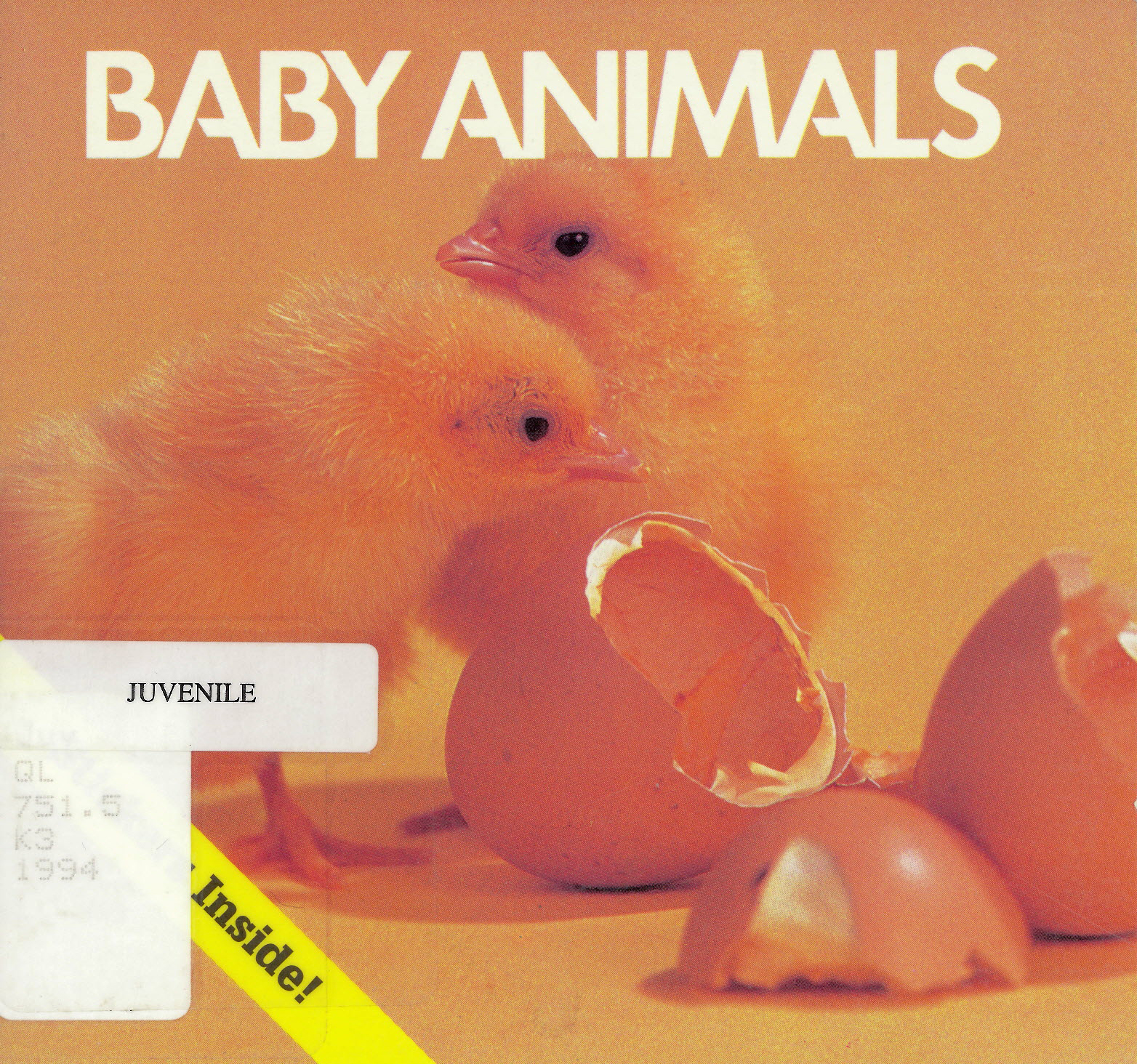 Baby animals