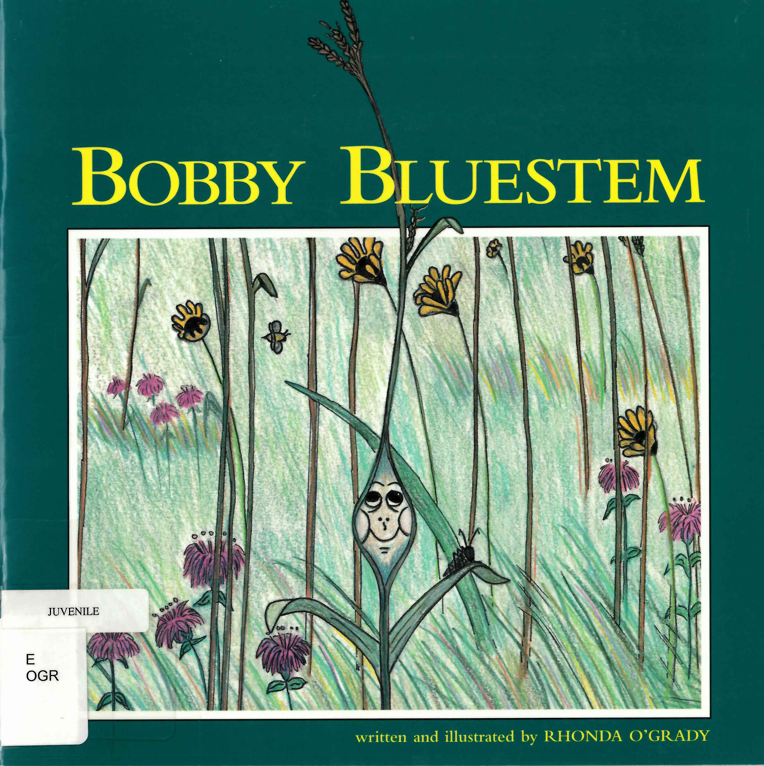 Bobby Bluestem