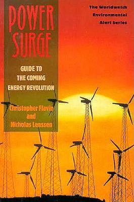 Power surge: guide to the coming energy revolution /