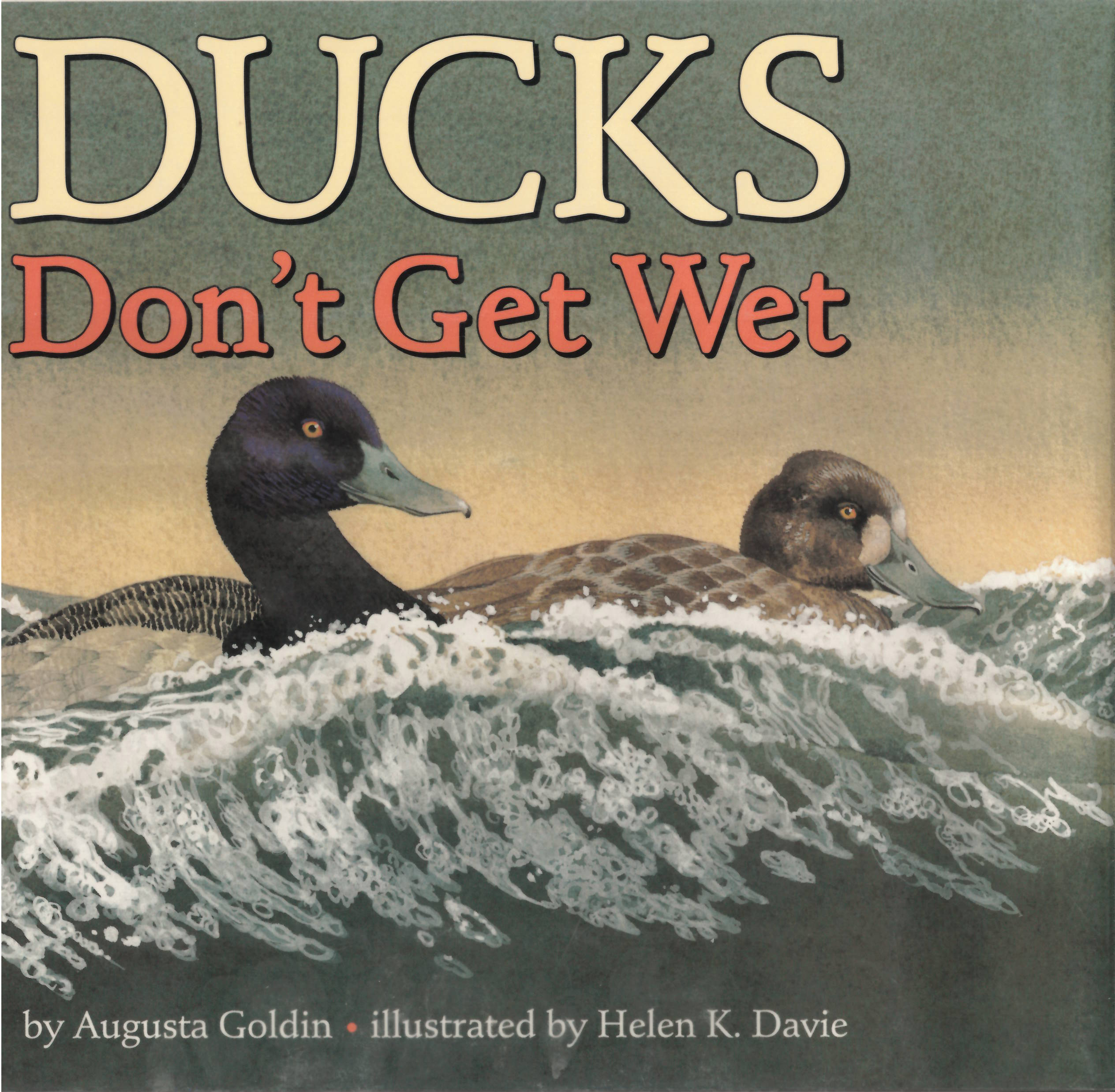 Ducks don't get wet
