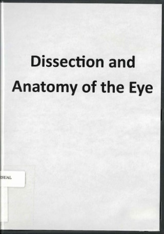 Dissection and anatomy of the eye