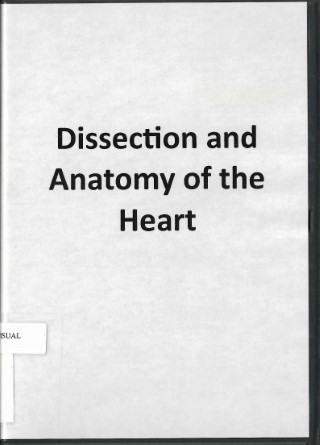 Dissection and anatomy of the heart