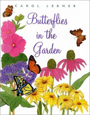 Butterflies in the garden