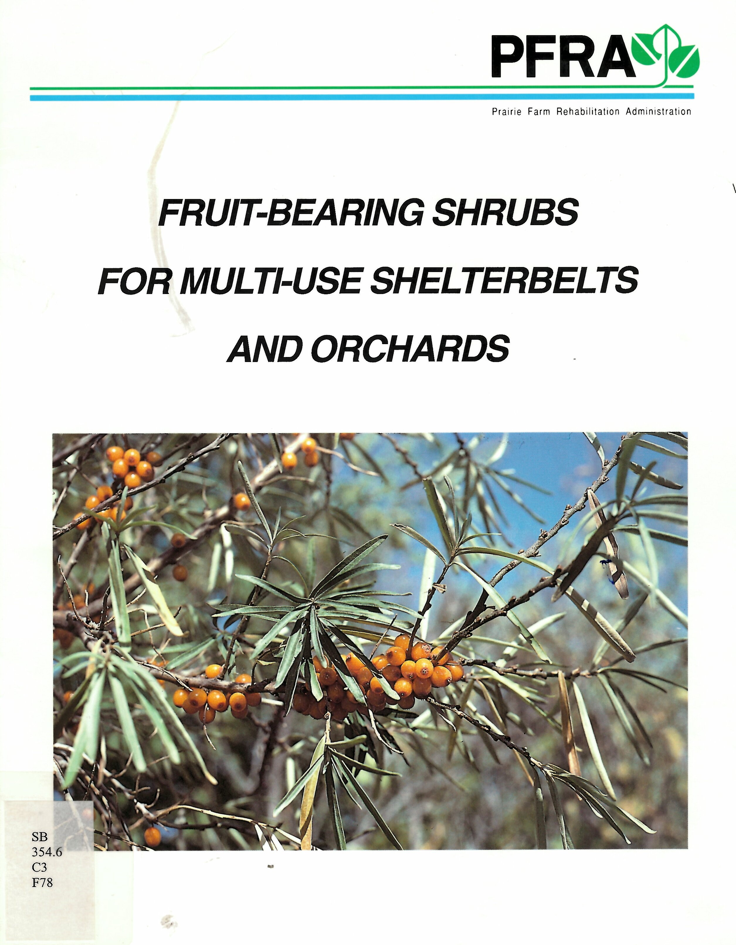 Fruit-bearing shrubs for multi-use shelterbelts and orchards