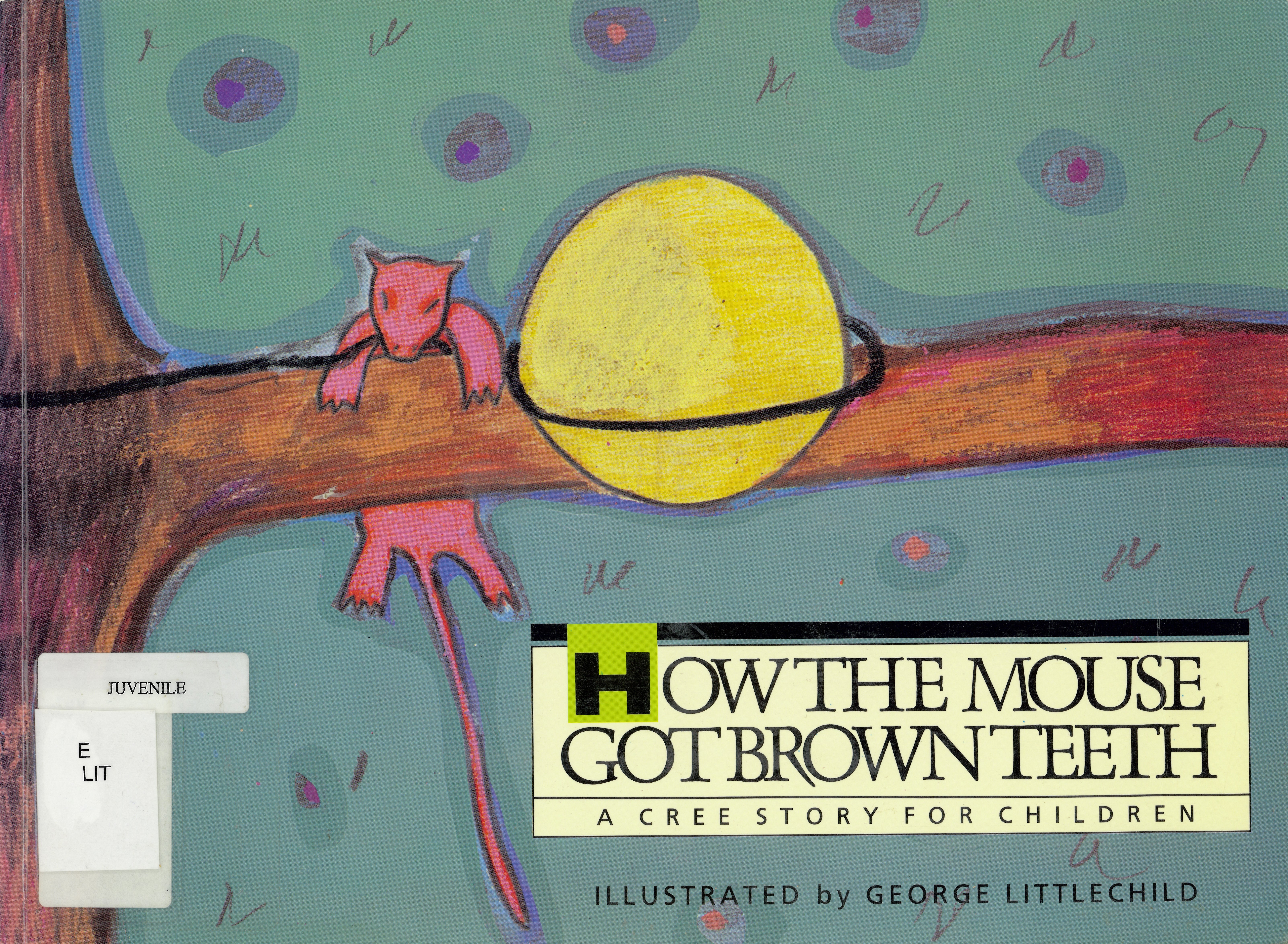 How the mouse got brown teeth : a cree story for children