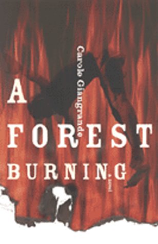 A forest burning : a novel