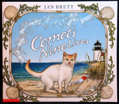 Comet's nine lives