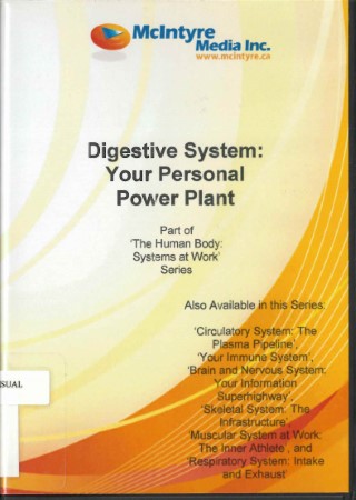 Digestive system: your personal power plant