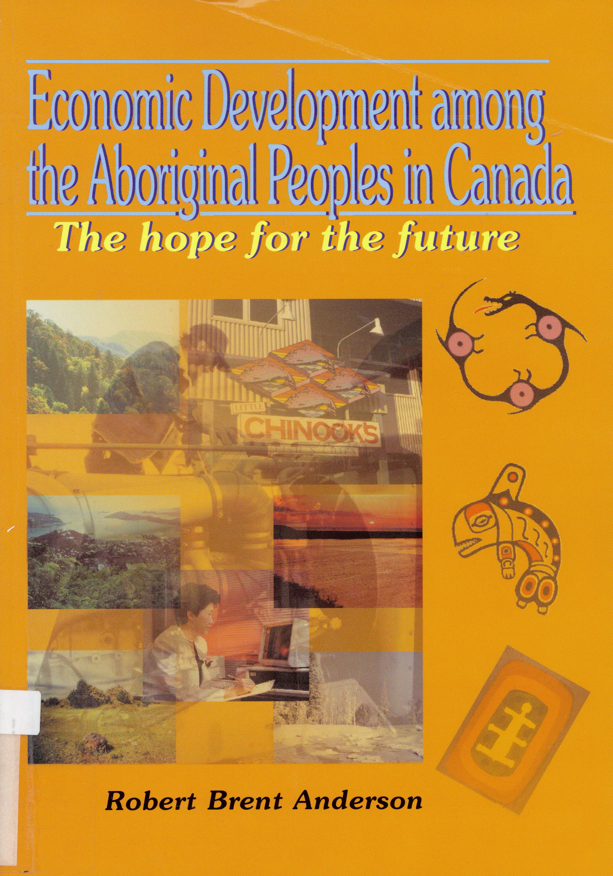 Economic development among the aboriginal peoples in Canada : the hope for the future