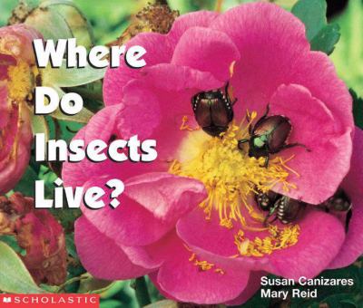 Where do insects live