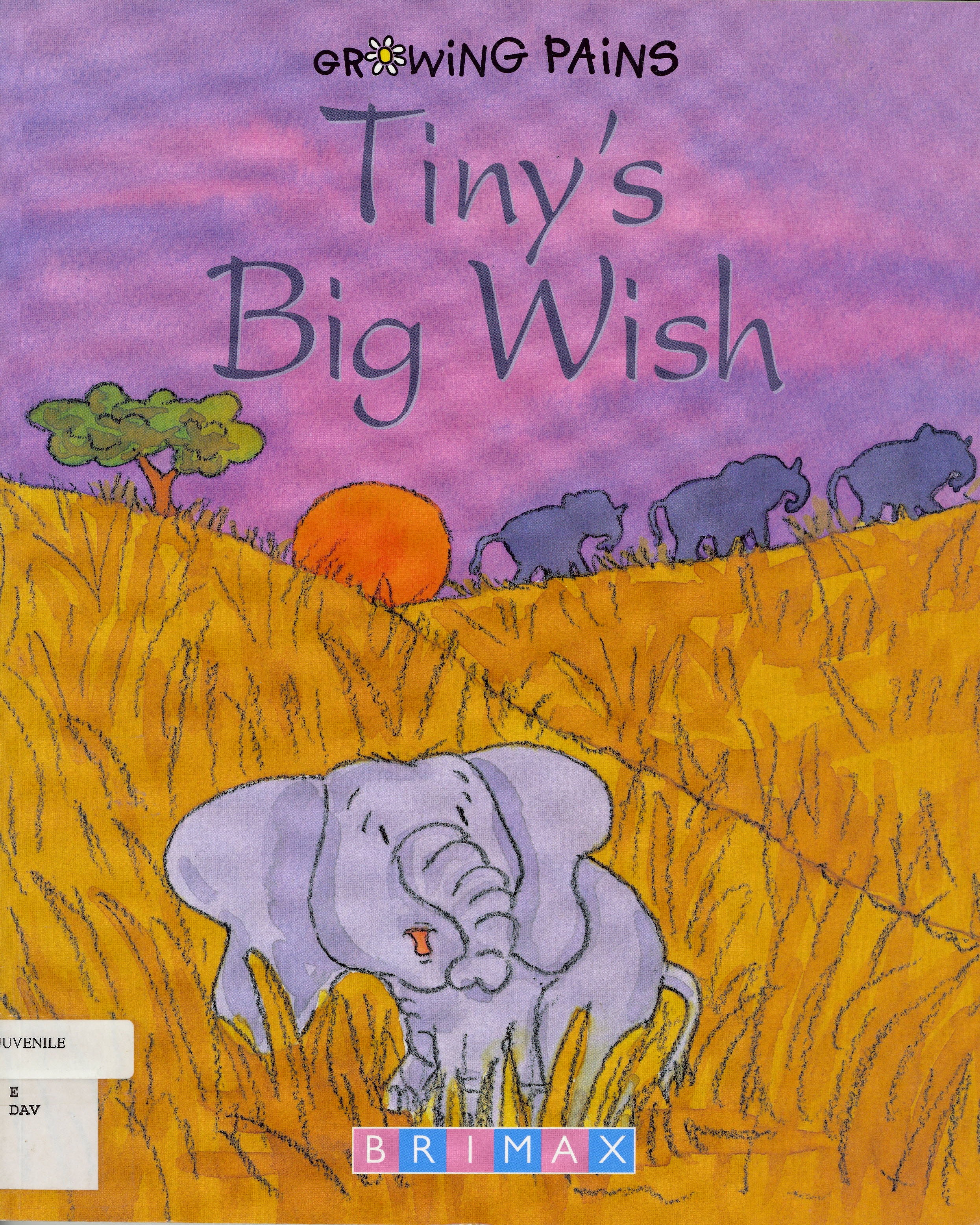 Tiny's big wish