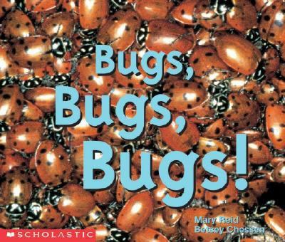 Bugs, bugs, bugs!