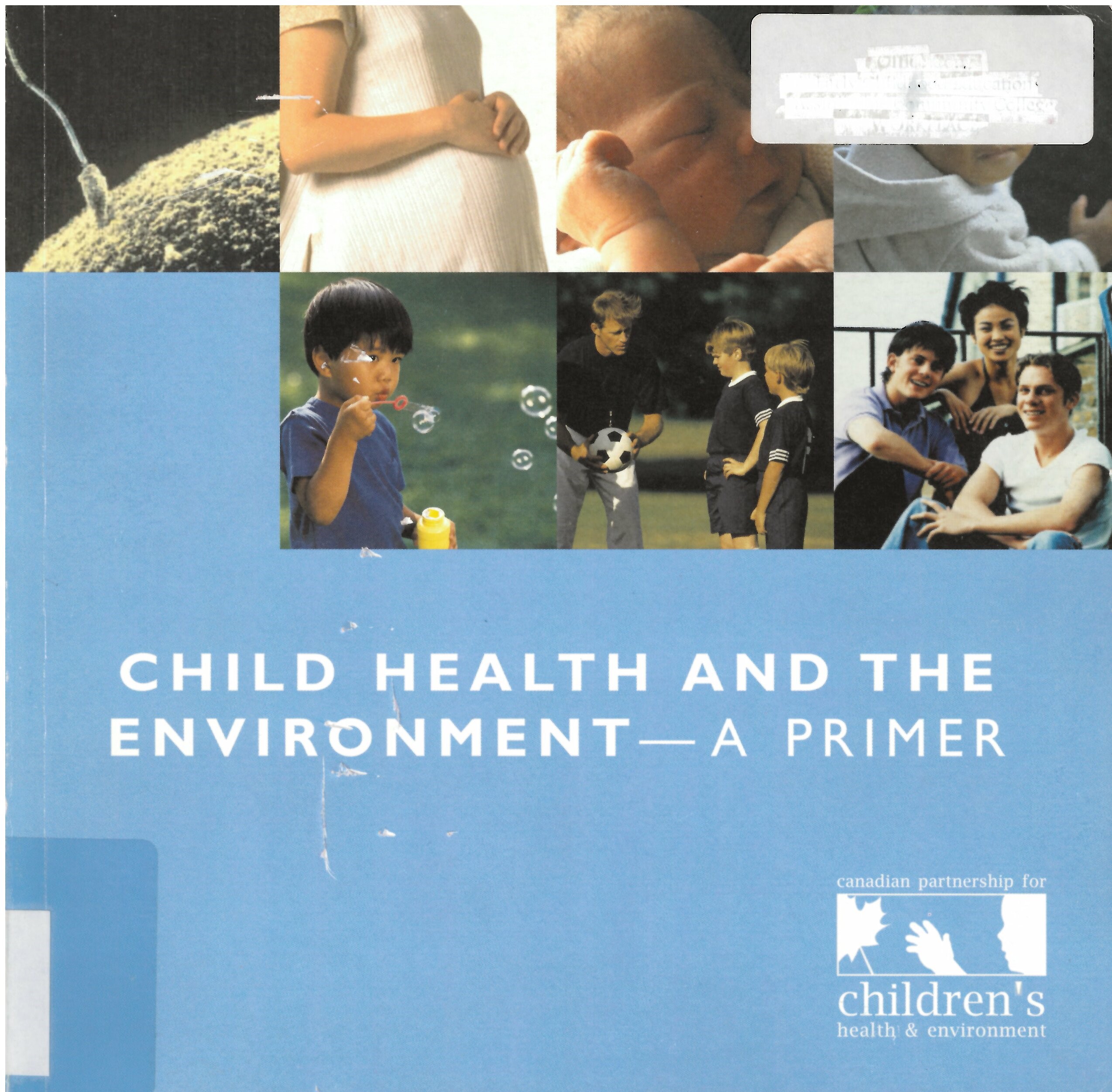 Child health and the environment : a primer