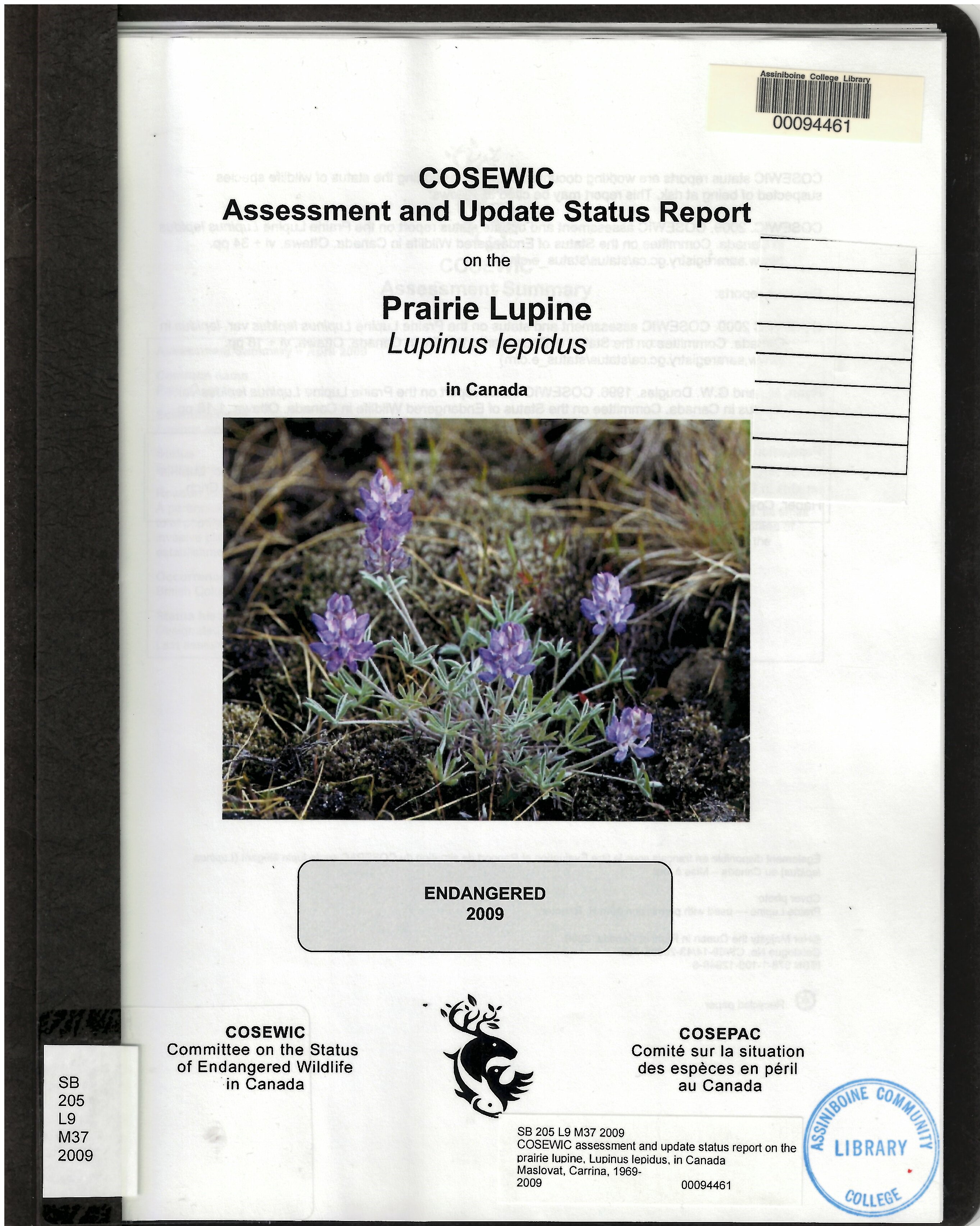 COSEWIC assessment and update status report on the prairie lupine, Lupinus lepidus, in Canada