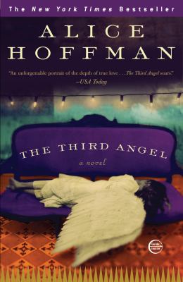 The third angel : a novel