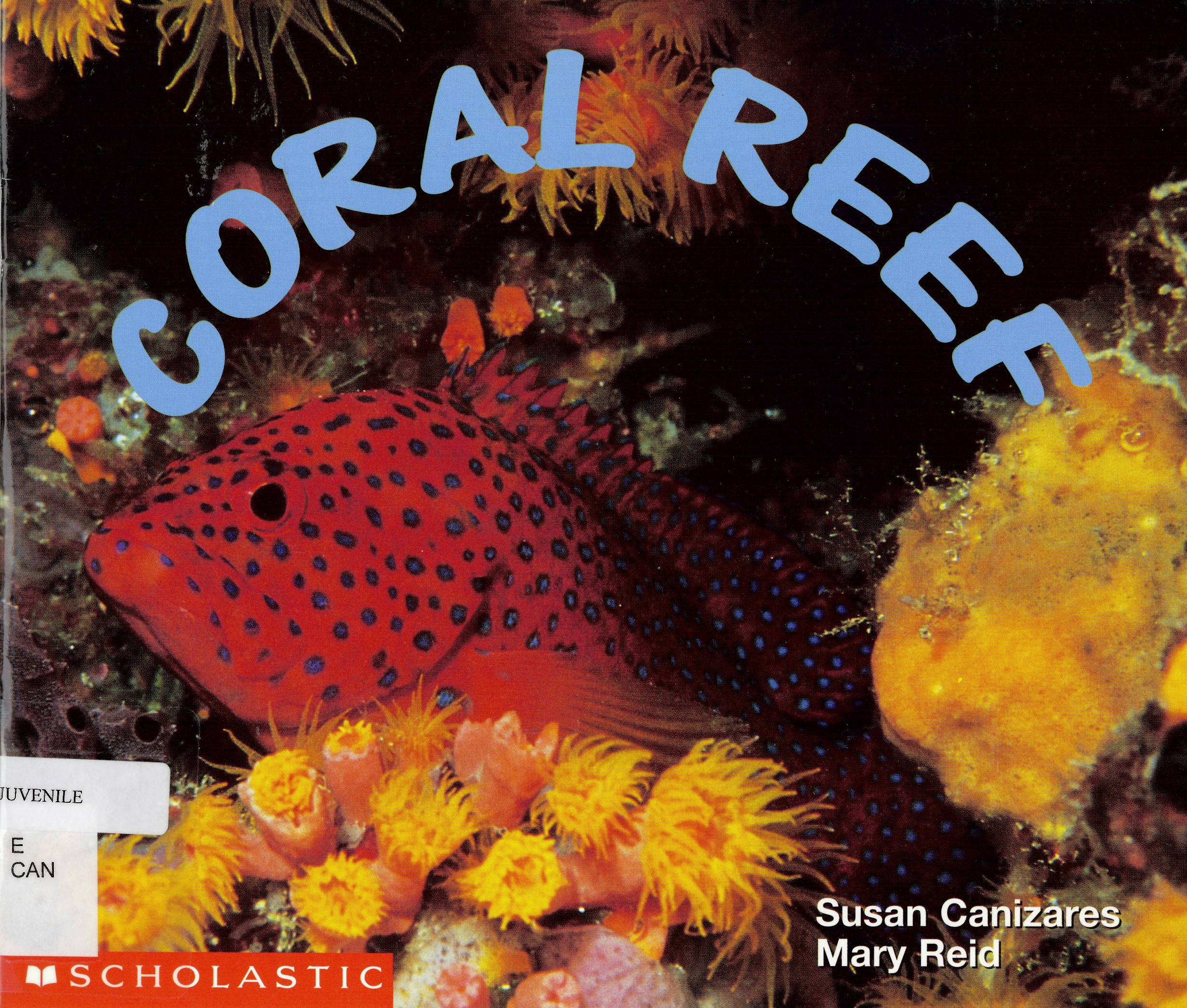 Coral reef