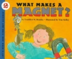 What makes a magnet?