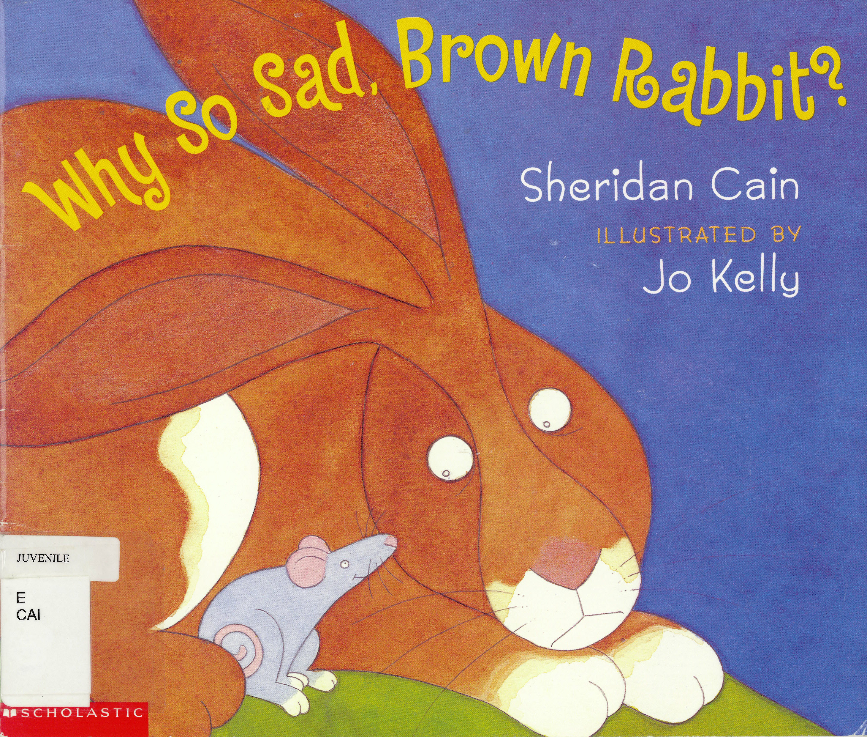 Why so sad, Brown Rabbit?