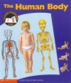 The human body