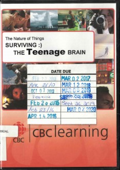 Surviving : ) the teenage brain