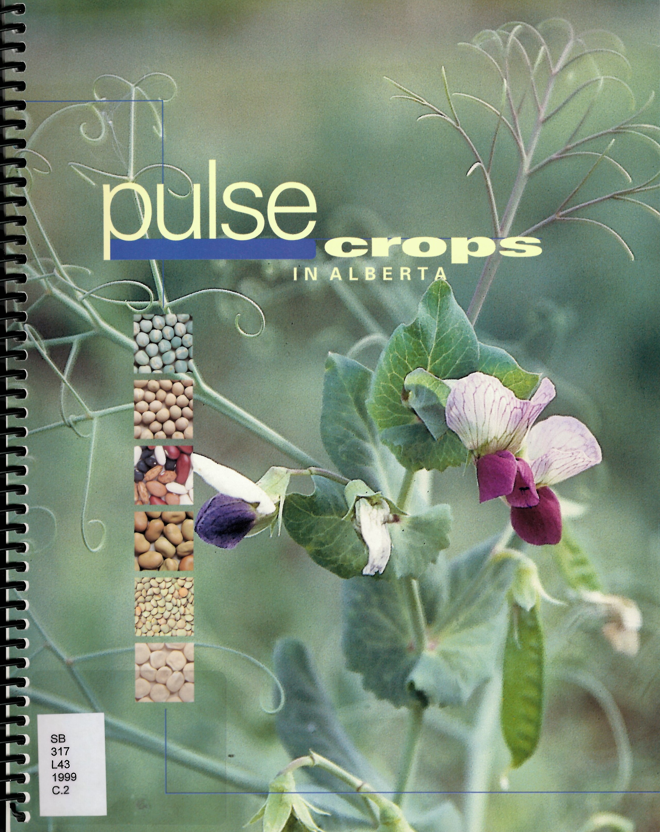 Pulse crops in Alberta