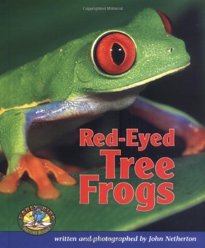 Red-eyed tree frogs