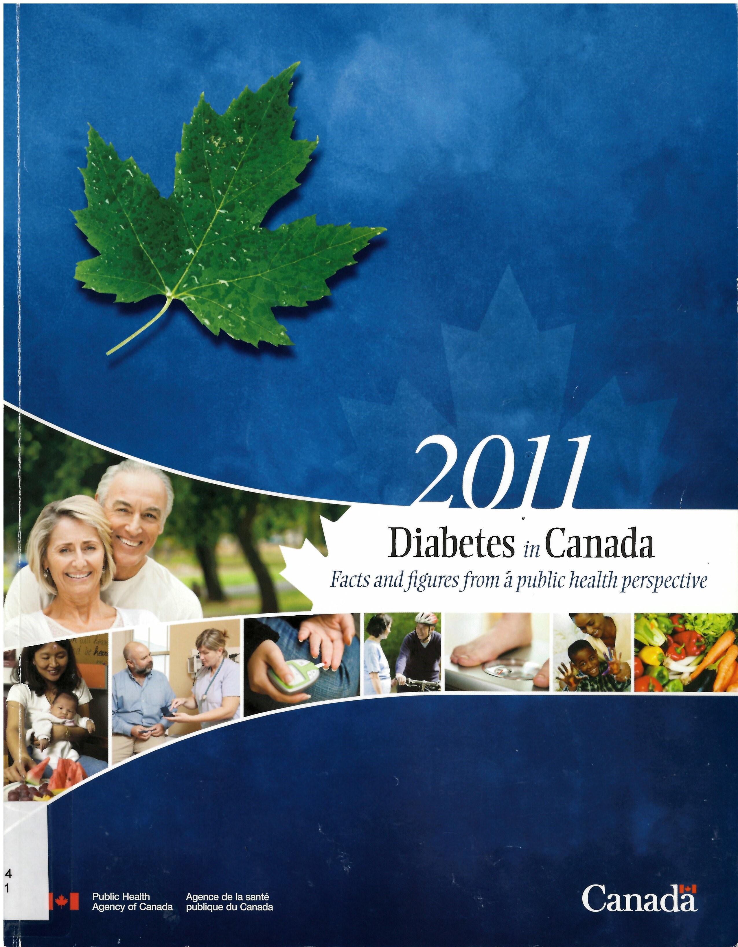 Diabetes in Canada : facts and figures from a public health perspective
