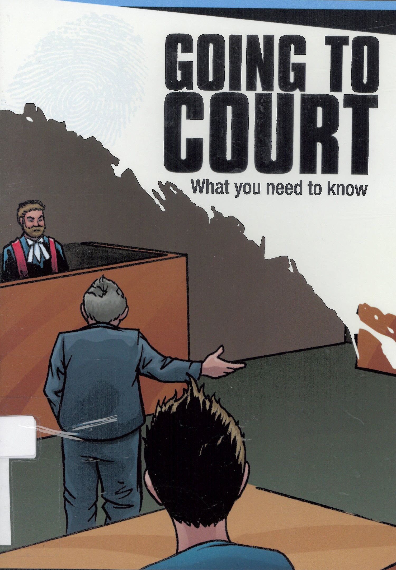 Going to court : what you need to know