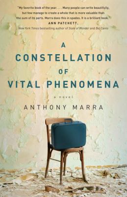 A constellation of vital phenomena : a novel