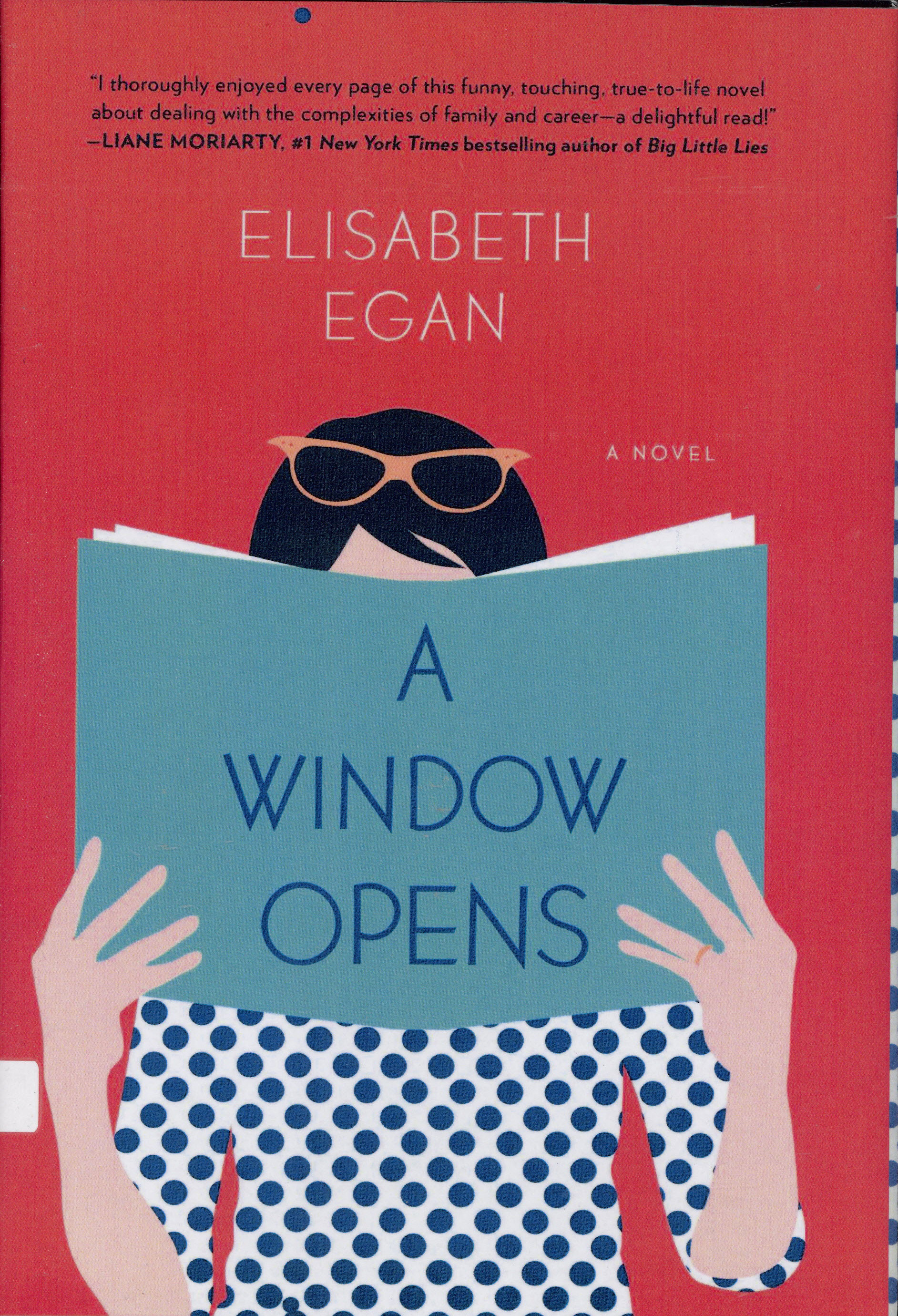 A window opens : a novel