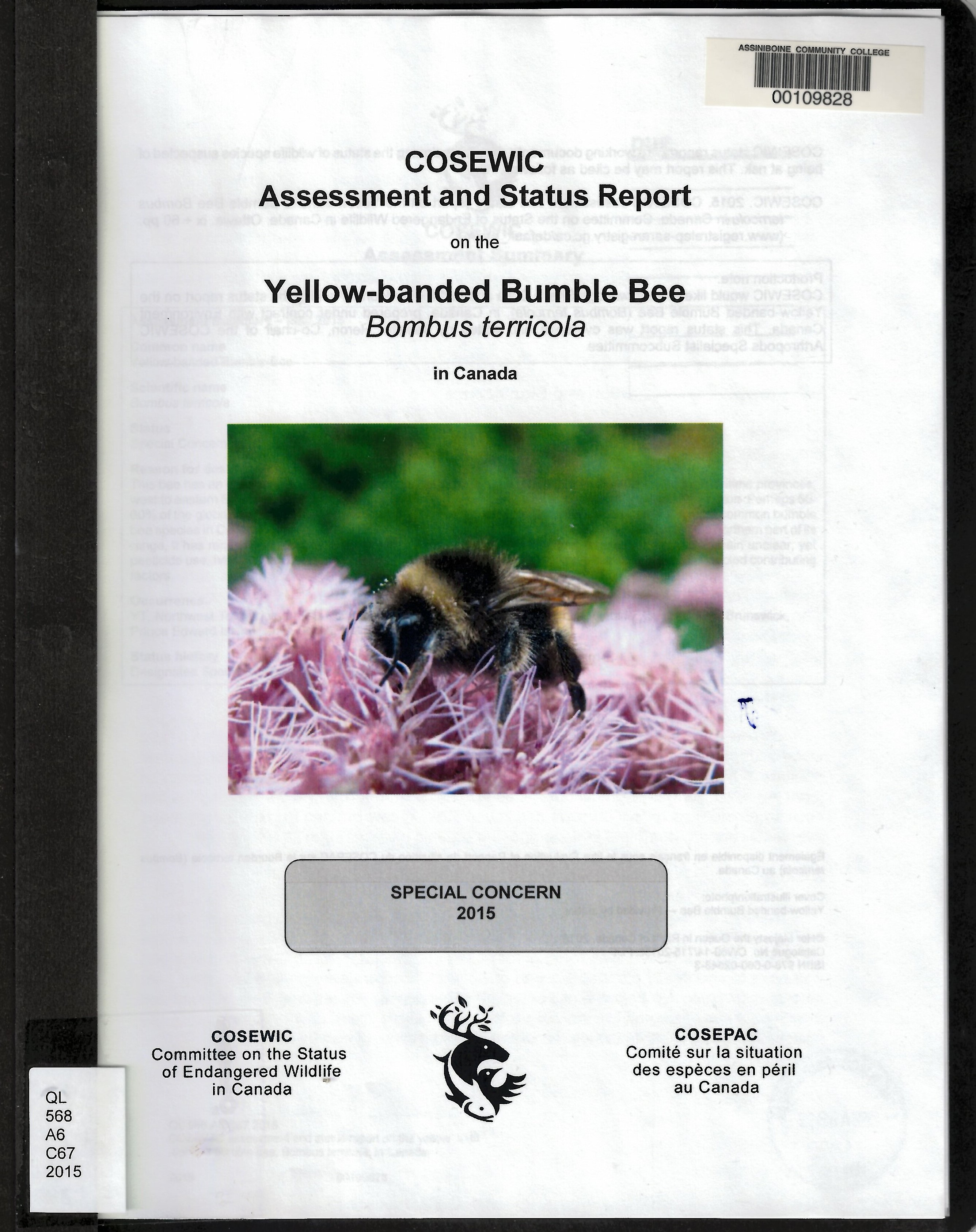 COSEWIC assessment and status report on the yellow-banded bumble bee, Bombus terricola, in Canada.