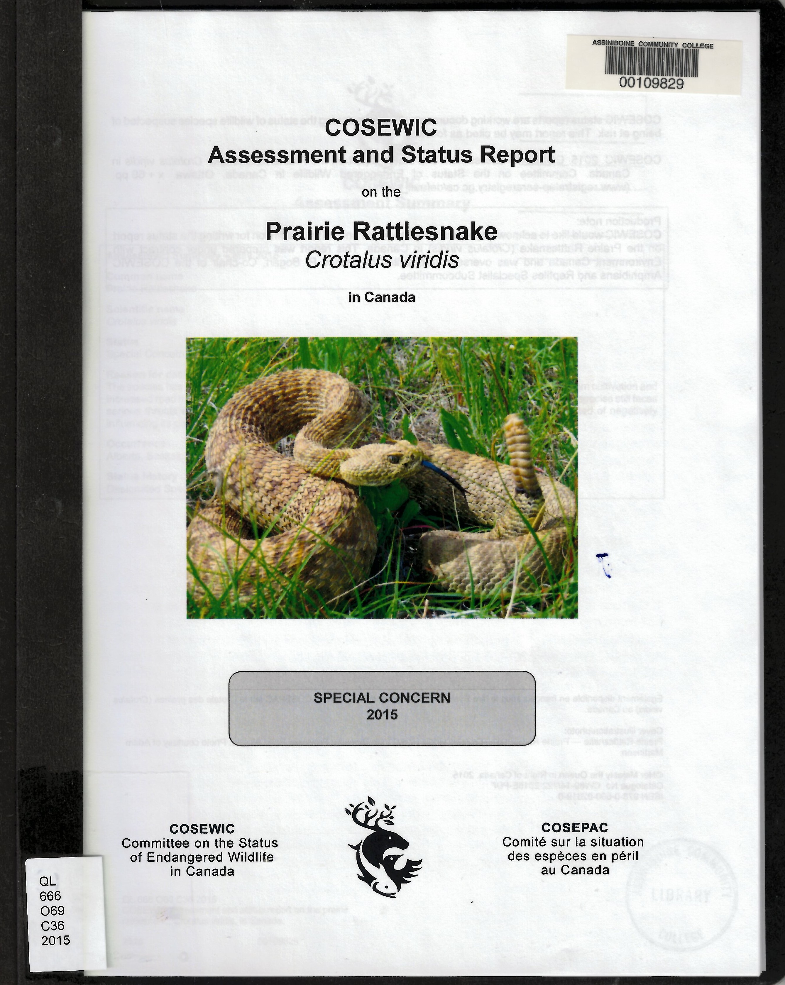 COSEWIC assessment and status report on the prairie rattlesnake, Crotalus viridis, in Canada.