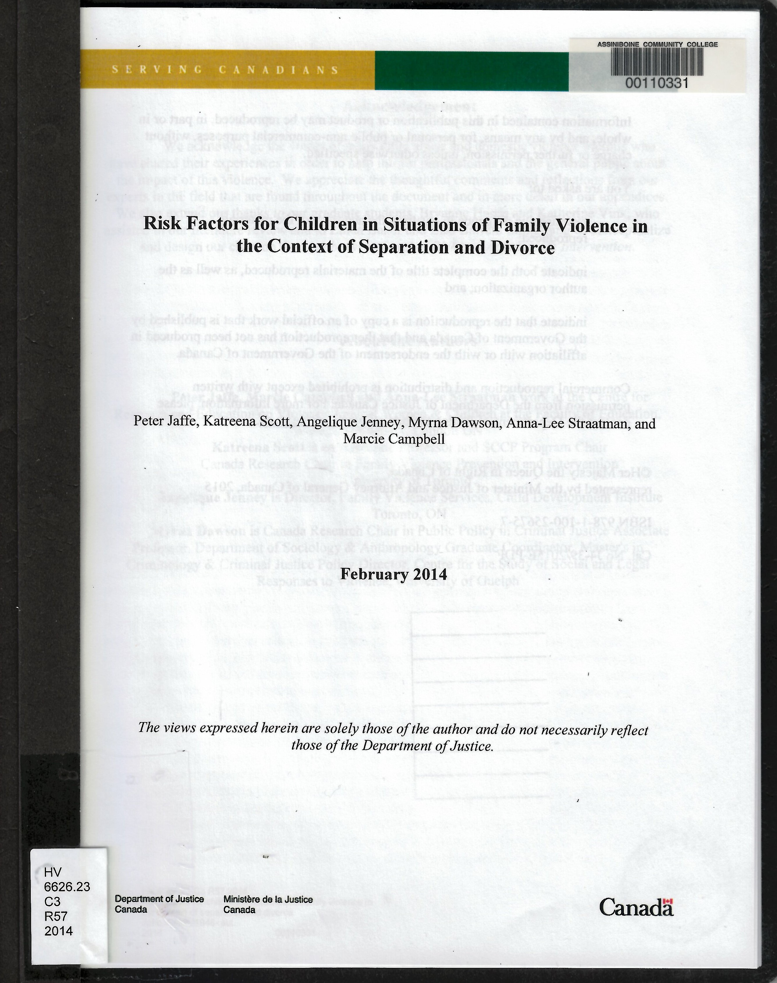 Risk factors for children in situations of family violence in the context of separation and divorce