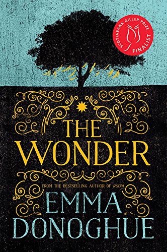 The wonder : a novel