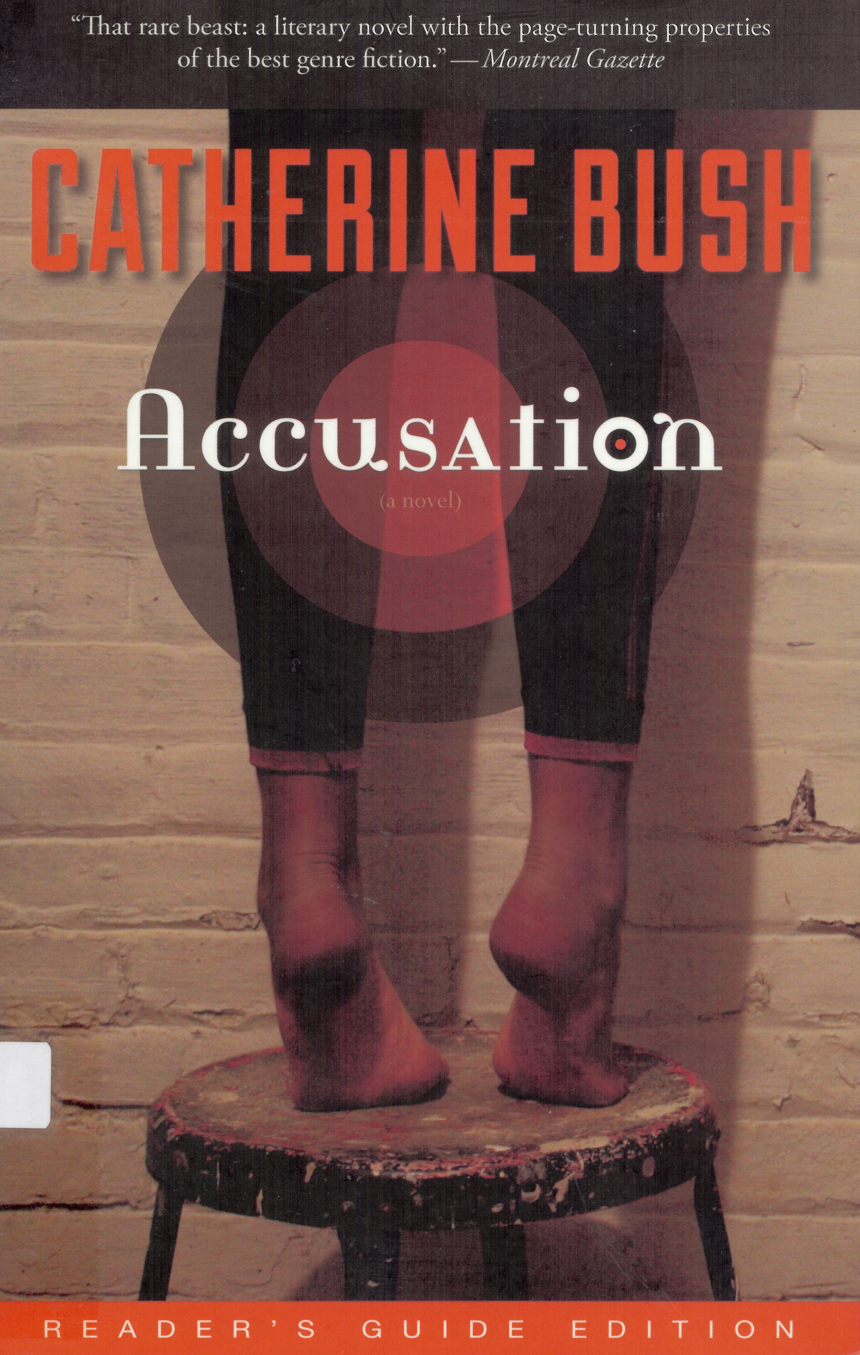 Accusation : (a novel)