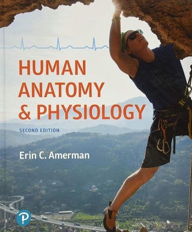 Human anatomy & physiology