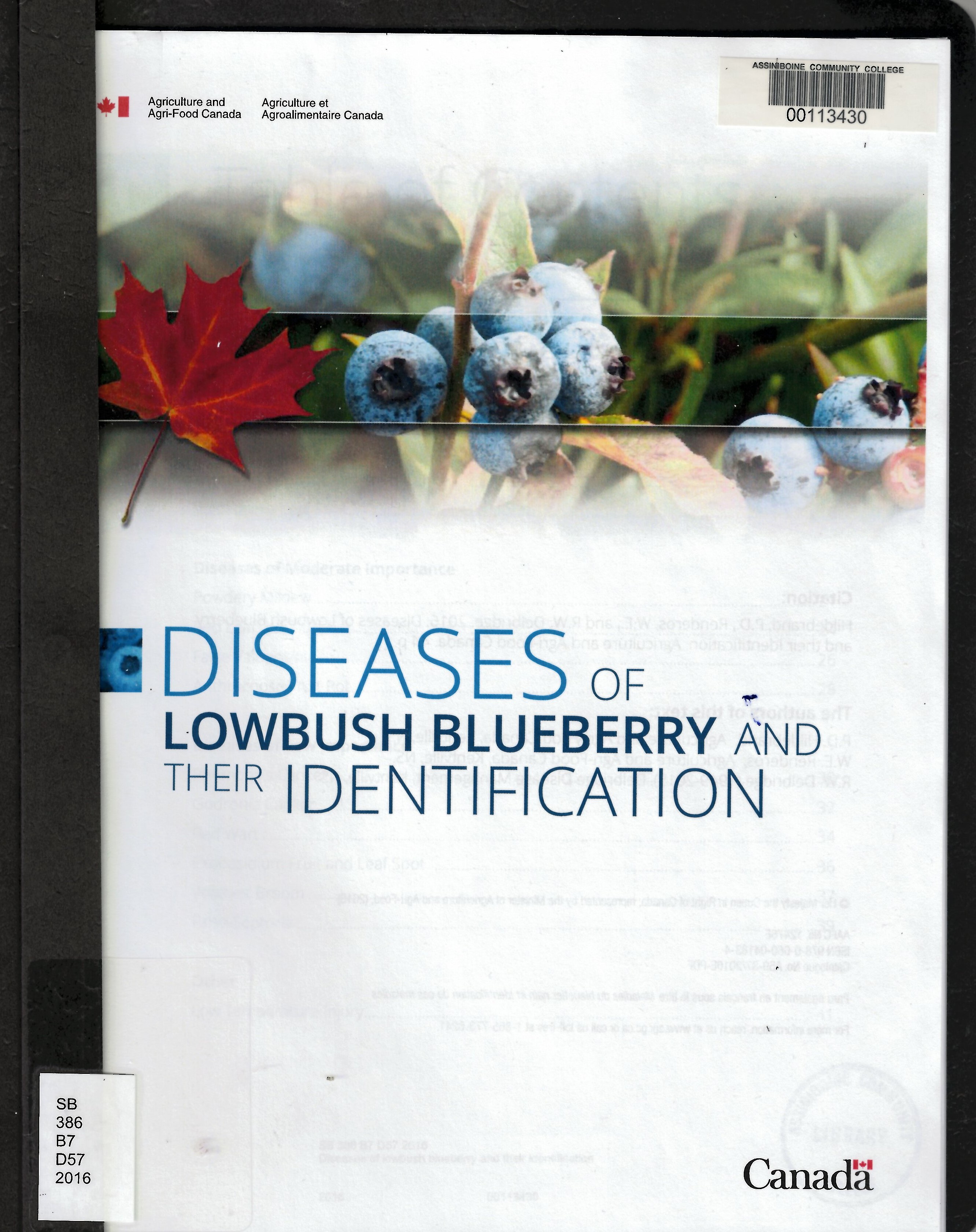 Diseases of lowbush blueberry and their identification