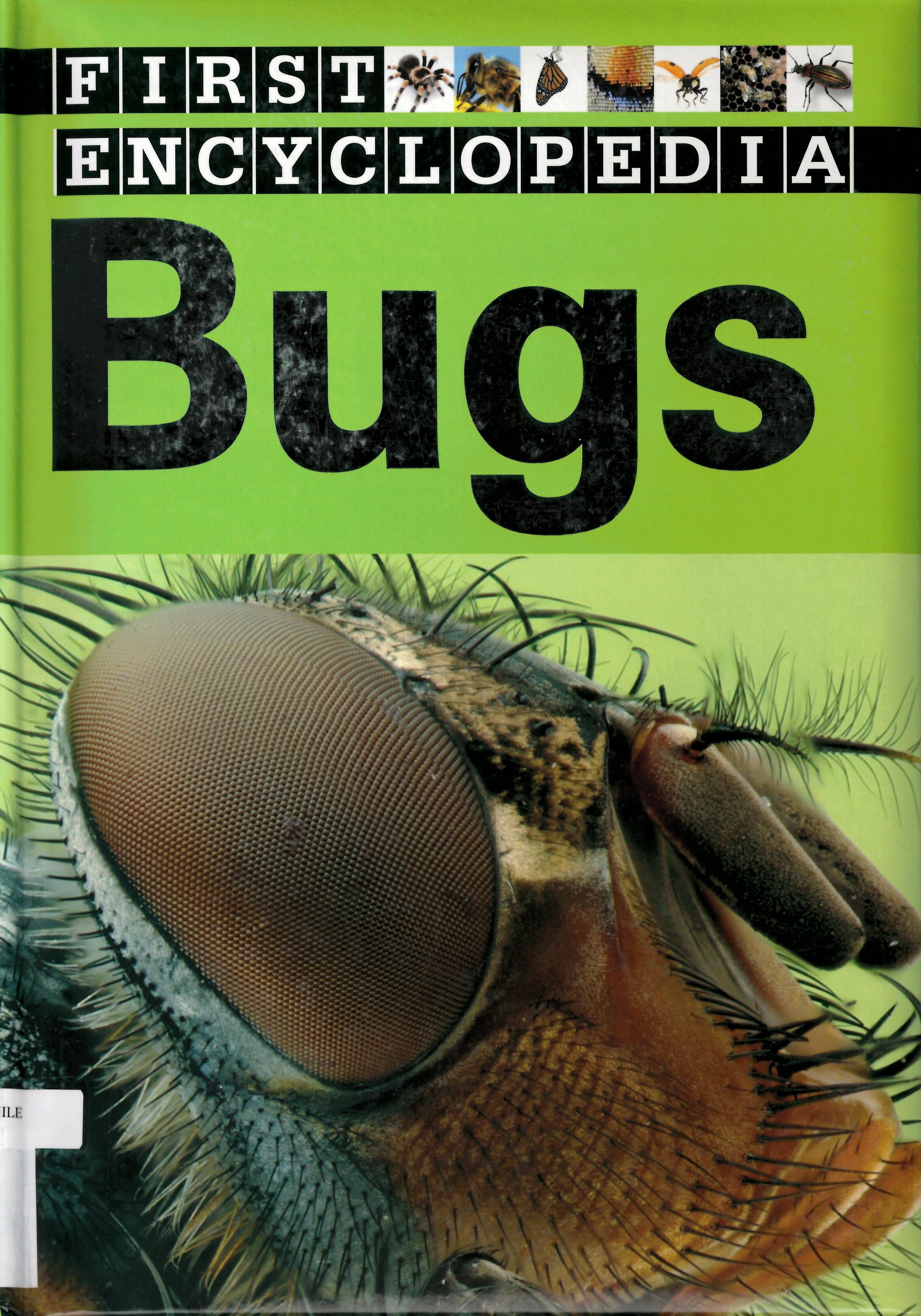 Bugs